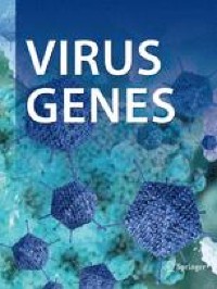 Transcriptome sequencing of LMP2A-transfected gastric cancer cells identifies potential biomarkers in EBV-associated gastric cancer - Virus Genes