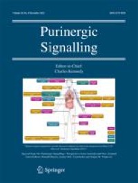 NT5E gene and CD38 protein as potential prognostic biomarkers for childhood B-acute lymphoblastic leukemia - Purinergic Signalling