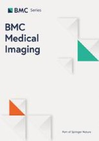 Long-term evaluation of uterine fibroid embolisation using MRI perfusion parameters and patient questionnaires: preliminary results - BMC Medical Imaging