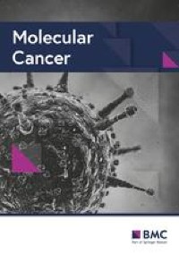 NCAPG promotes the oncogenesis and progression of non-small cell lung cancer cells through upregulating LGALS1 expression - Molecular Cancer