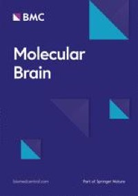 The de novo CACNA1A pathogenic variant Y1384C associated with hemiplegic migraine, early onset cerebellar atrophy and developmental delay leads to a loss of Cav2.1 channel function