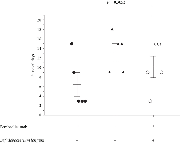 Construction of a Humanized PBMC-PDX Model to Study the Efficacy of a Bacterial Marker in Lung Cancer Immunotherapy