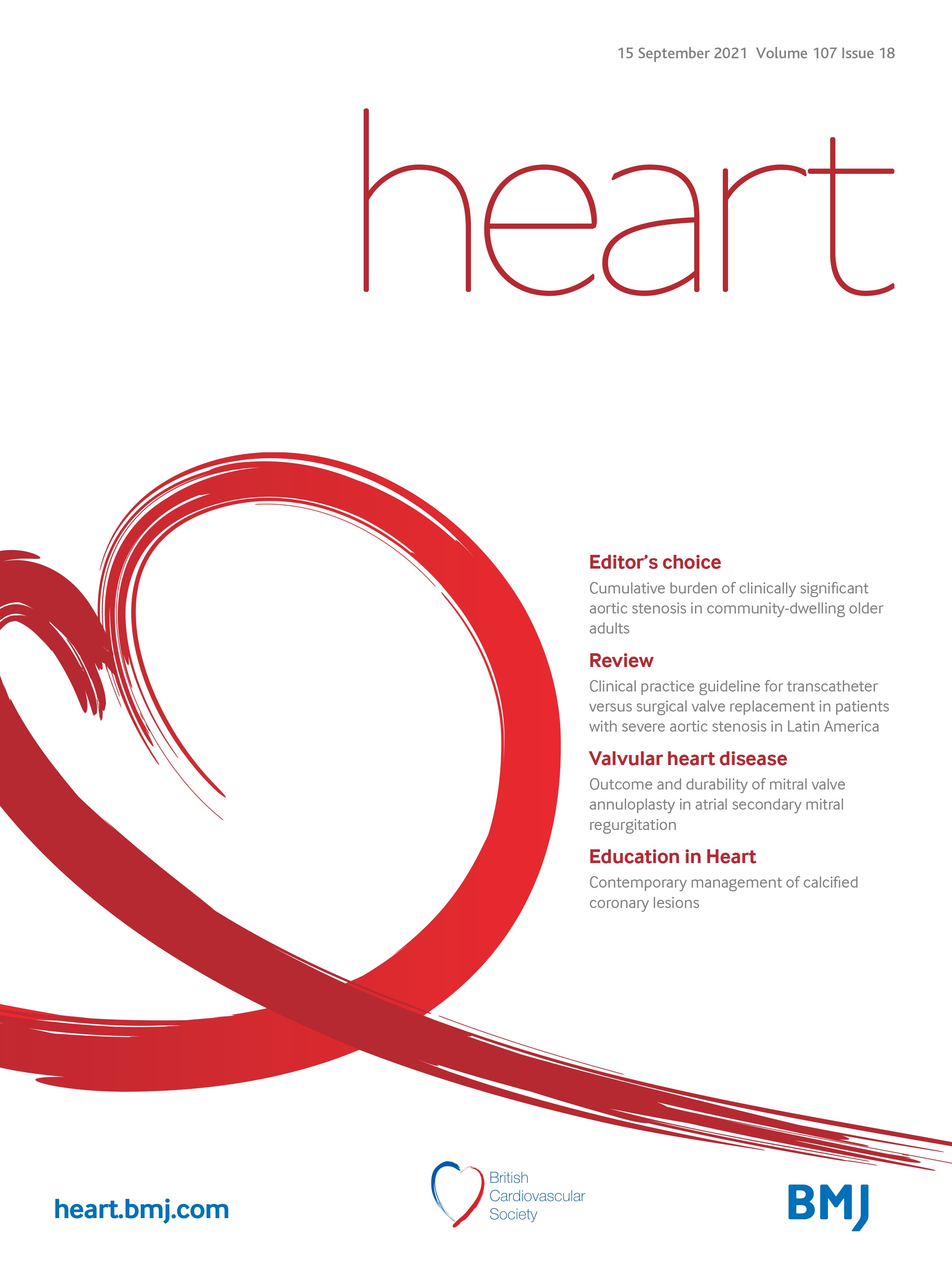 The personalized external aortic root support procedure: interesting niche or ready for prime time?