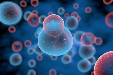 Latest Developments in Cellular Therapy for Multiple Myeloma - touchONCOLOGY