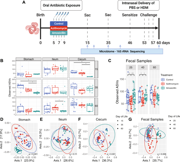 Influence of the early-life gut microbiota on the immune responses to an inhaled allergen - Mucosal Immunology