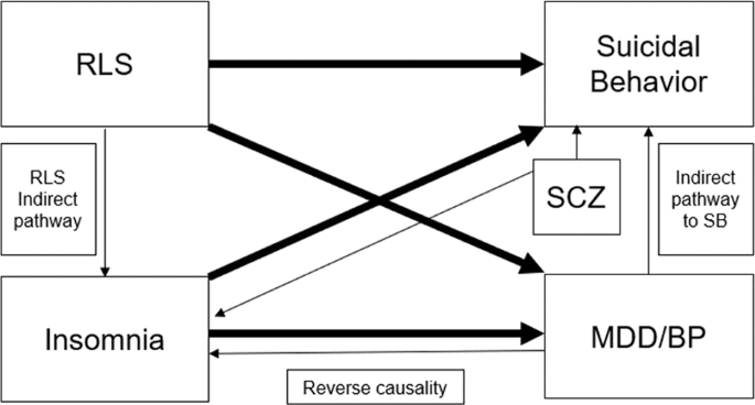 Genetic evidence for a potential causal relationship between insomnia symptoms and suicidal behavior: a Mendelian randomization study - Neuropsychopharmacology
