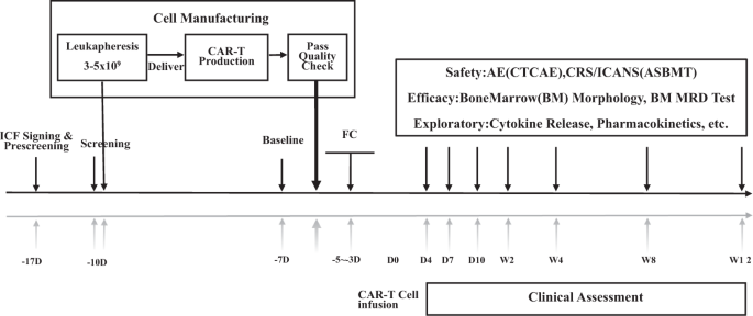 Novel CD19 chimeric antigen receptor T cells manufactured next-day for acute lymphoblastic leukemia - Blood Cancer Journal
