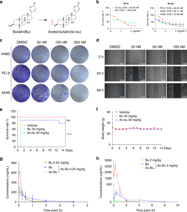 Acetyl-bufalin shows potent efficacy against non-small-cell lung cancer by targeting the CDK9/STAT3 signalling pathway