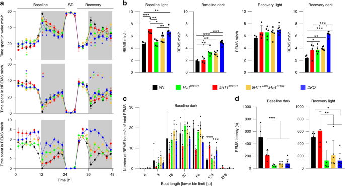 Hypocretinergic interactions with the serotonergic system regulate REM sleep and cataplexy