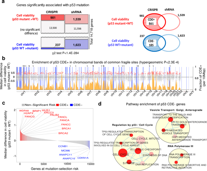 A systematic genome-wide mapping of oncogenic mutation selection during CRISPR-Cas9 genome editing - Nature Communications