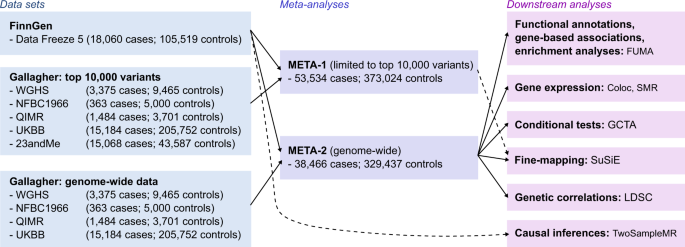 Evidence of a causal effect of genetic tendency to gain muscle mass on uterine leiomyomata - Nature Communications