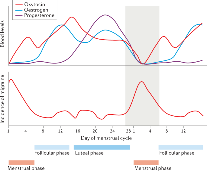 Hormonal influences in migraine - interactions of oestrogen, oxytocin and CGRP - Nature Reviews Neurology