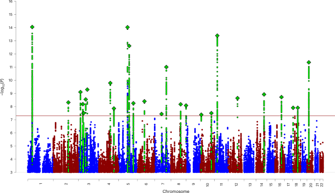 Genome-wide analyses of ADHD identify 27 risk loci, refine the genetic architecture and implicate several cognitive domains - Nature Genetics
