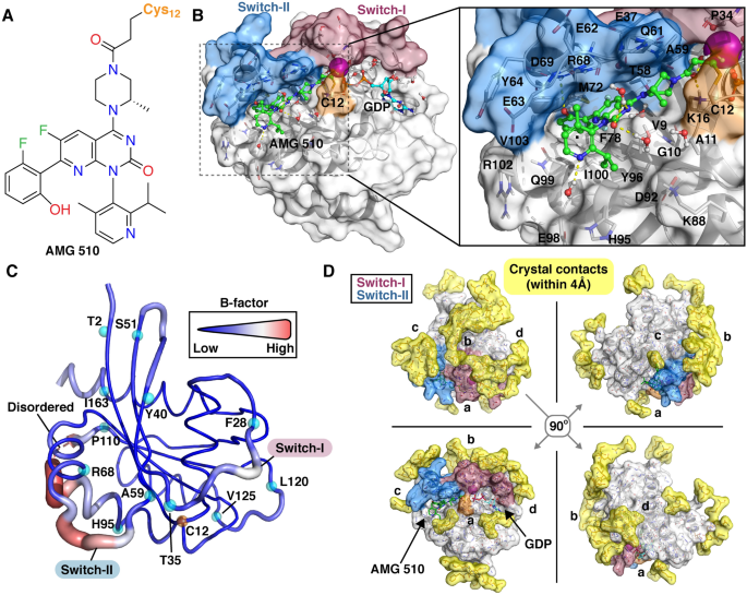 KRAS(G12C)-AMG 510 interaction dynamics revealed by all-atom molecular dynamics simulations