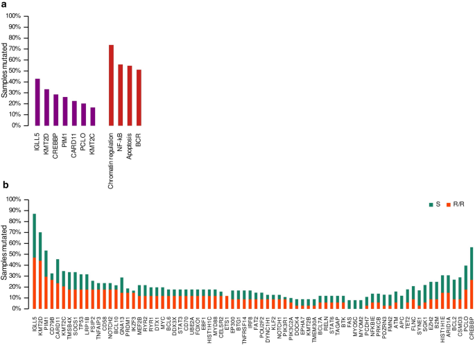 Proposal and validation of a method to classify genetic subtypes of diffuse large B cell lymphoma