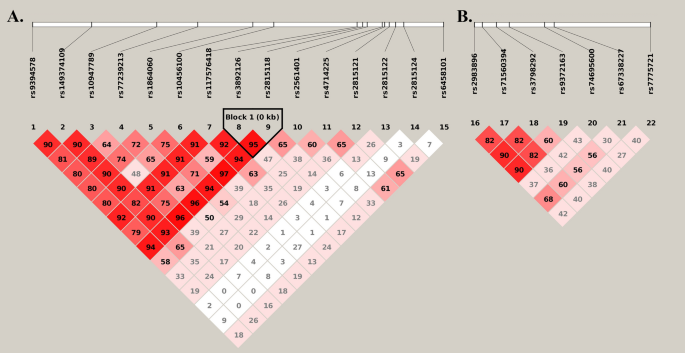 Common variants in KCNK5 and FHL5 genes contributed to the susceptibility of migraine without aura in Han Chinese population