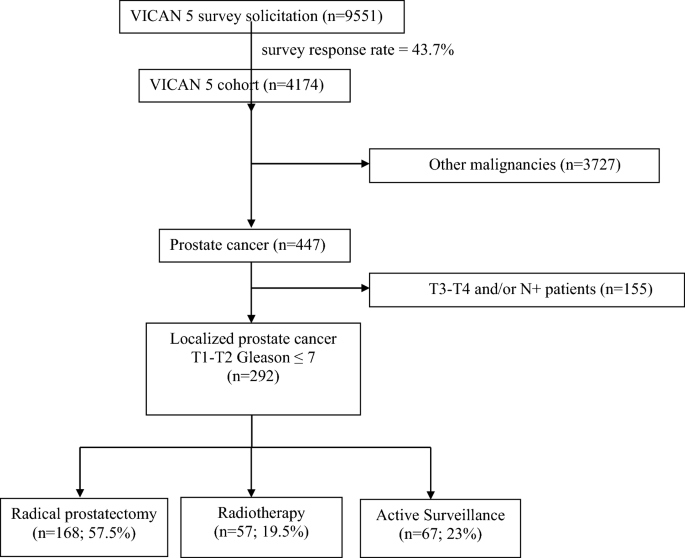 Impact of active surveillance for prostate cancer on the risk of depression and anxiety - Scientific Reports