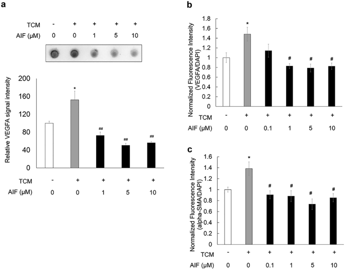 Alpinumisoflavone ameliorates choroidal neovascularisation and fibrosis in age-related macular degeneration in in vitro and in vivo models - Scientific Reports