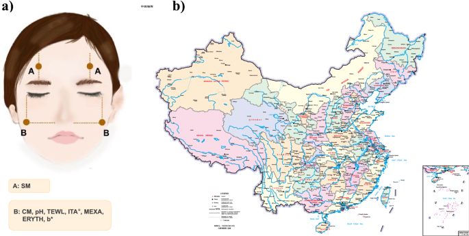 A cross-sectional study of Chinese women facial skin status with environmental factors and individual lifestyles - Scientific Reports