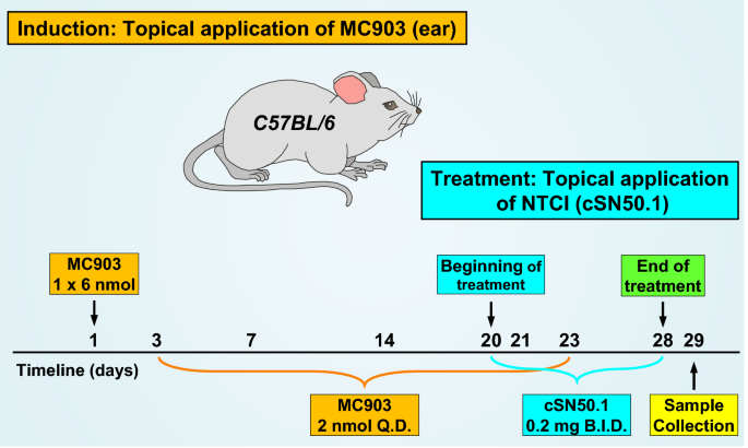 Genomic control of inflammation in experimental atopic dermatitis - Scientific Reports
