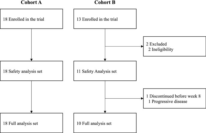Phase Ib/II study of nivolumab combined with palliative radiation therapy for bone metastasis in patients with HER2-negative metastatic breast cancer - Scientific Reports