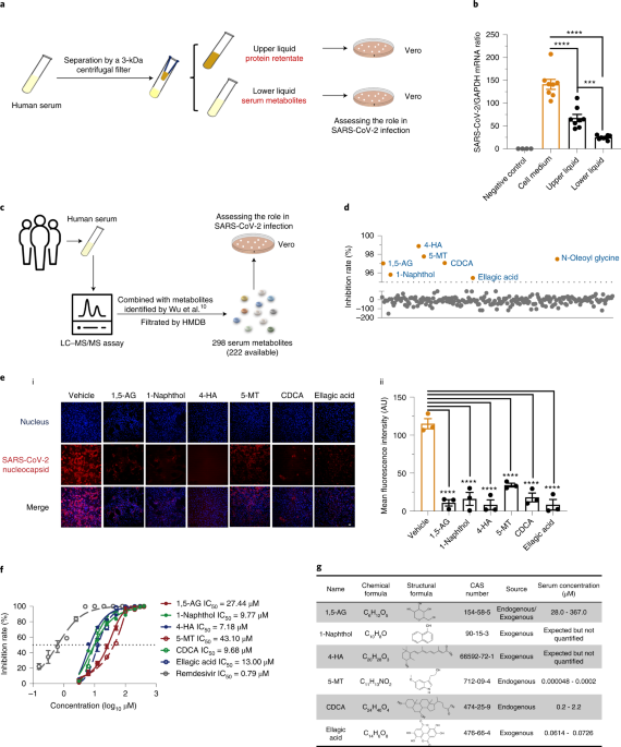 A glucose-like metabolite deficient in diabetes inhibits cellular entry of SARS-CoV-2 - Nature Metabolism