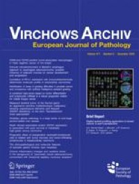 Diffuse large B-cell lymphomas, not otherwise specified, and emerging entities - Virchows Archiv