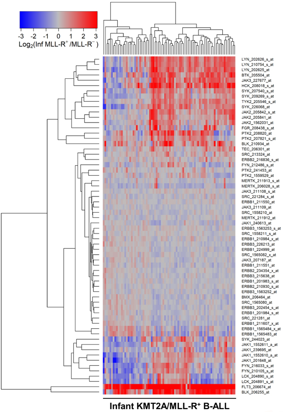 Tyrosine kinases in KMT2A/MLL-rearranged acute leukemias as potential therapeutic targets to overcome cancer drug resistance