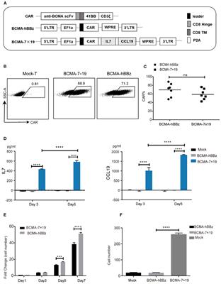 The BCMA-Targeted Fourth-Generation CAR-T Cells Secreting IL-7 and CCL19 for Therapy of Refractory/Recurrent Multiple Myeloma