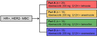 Abemaciclib in Combination With Endocrine Therapy for Patients With Hormone Receptor-Positive, HER2-Negative Metastatic Breast Cancer: A Phase 1b Study