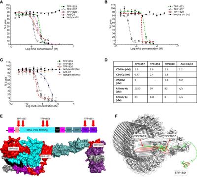 Discovery of functionally distinct anti-C7 monoclonal antibodies and stratification of anti-nicotinic AChR positive Myasthenia Gravis patients