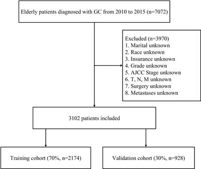 A predictive model for early death in elderly patients with gastric cancer: A population-based study