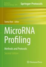 Exosomal MicroRNA Discovery in Age-Related Macular Degeneration