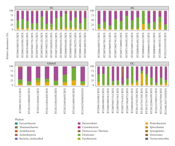 Gut Microbiota Dysbiosis in the Development and Progression of Gastric Cancer