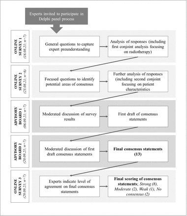 Delphi study to identify consensus on patient selection for hydrogel rectal spacer use during radiation therapy for prostate cancer in the UK