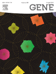 Mechanism of circular RNA-mediated regulation of L-DOPA to improve wet age-related macular degeneration