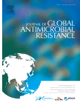 Virological efficacy of switch to DTG plus 3TC in a retrospective observational cohort of suppressed HIV-1 patients with or without past M184V - The LAMRES Study