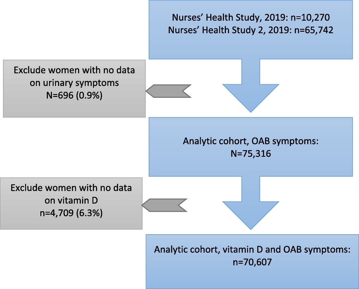 Vitamin D supplements and prevalent overactive bladder in women from midlife through older ages