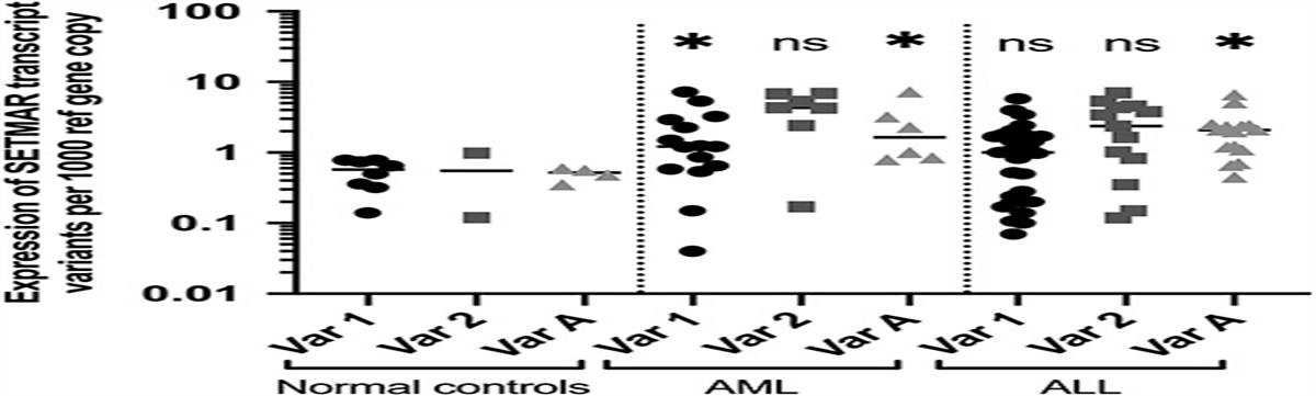 Investigating the Expression Pattern of the SETMAR Gene... : Journal of Pediatric Hematology/Oncology