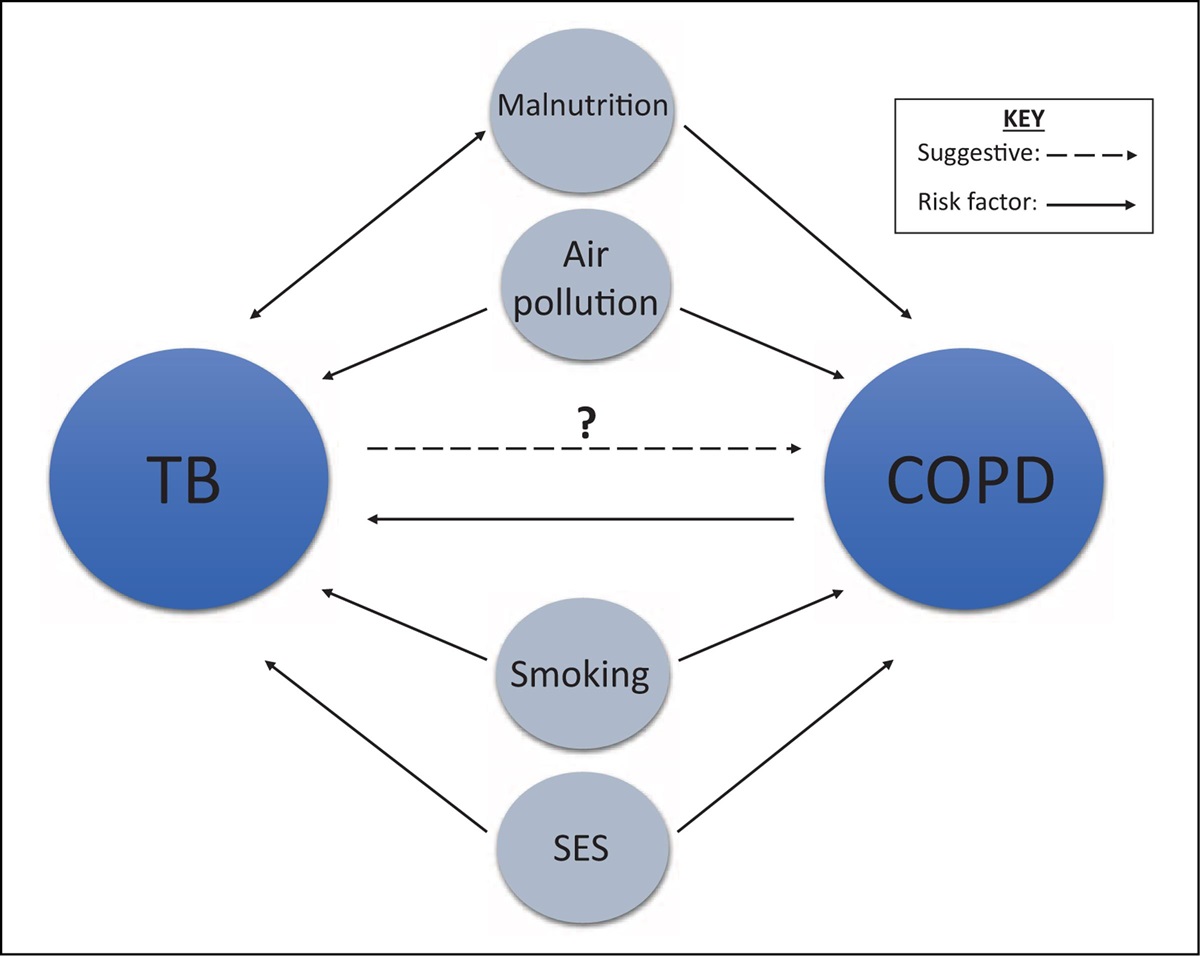 Interrelationships between tuberculosis and chronic obstructive pulmonary disease