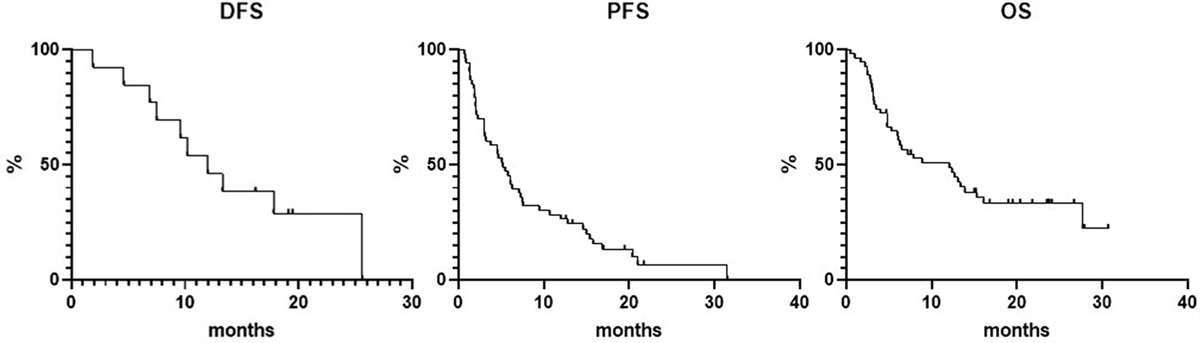 Real-world Outcomes of Relapsed/Refractory Diffuse Large... : HemaSphere
