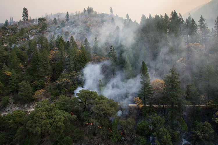 First-of-its-kind study links wildfire smoke to skin disease
