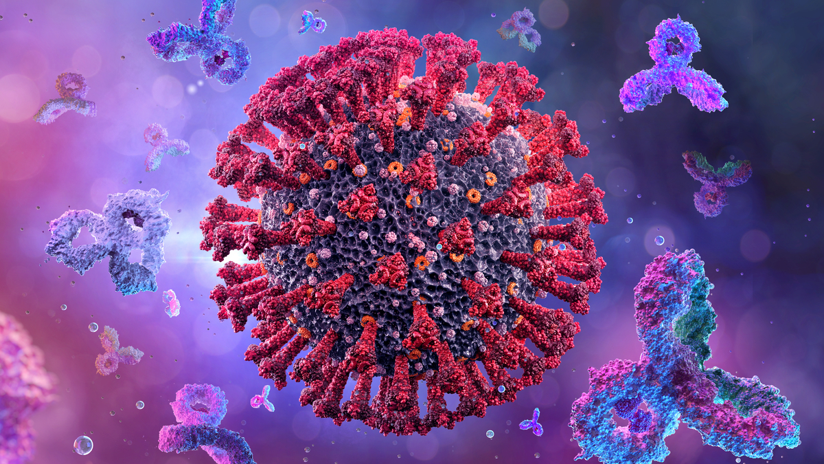 Regeneron Antibodies Prevent Symptomatic COVID-19 In Interim Phase III Data