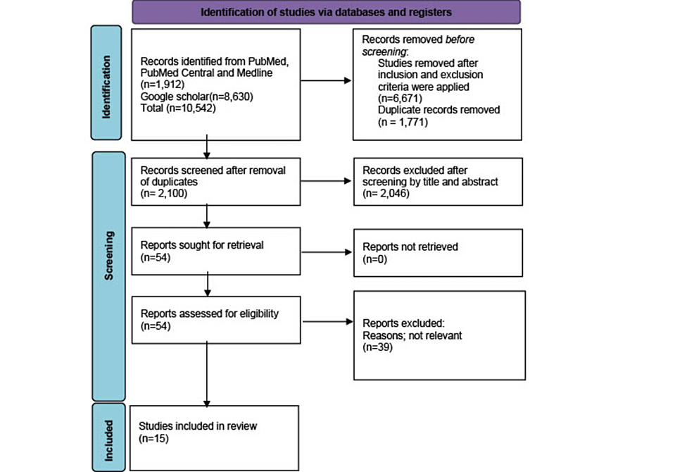 A Systematic Review on the Safety and Efficacy of PCSK9 Inhibitors in Lowering Cardiovascular Risks in Patients With Chronic Kidney Disease