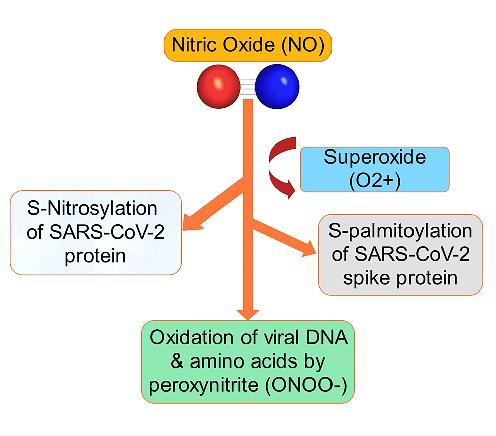 Nitric Oxide in the Management of Respiratory Consequences in COVID-19: A Scoping Review of a Different Treatment Approach