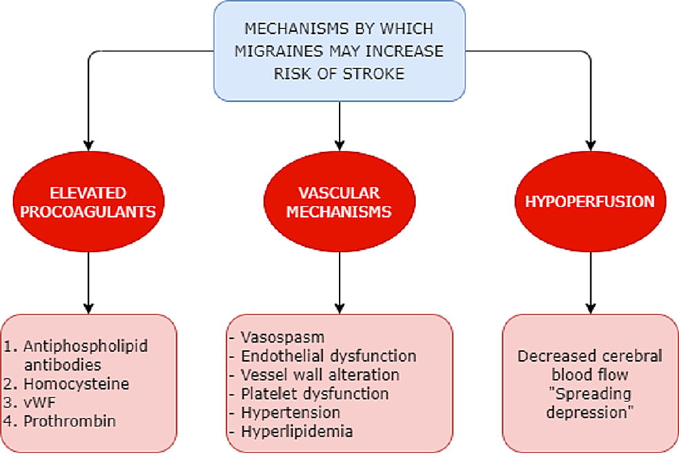 Migraine and Stroke: In Search of Shared Pathways, Mechanisms, and Risk Factors