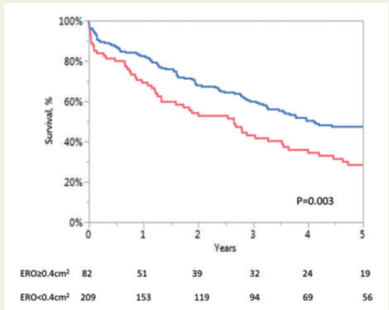 An Uptated View on the Approach to Tricuspid Regurgitation