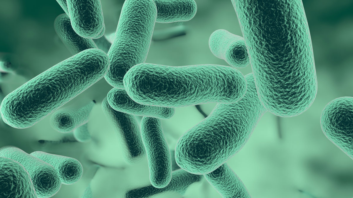 Wellbeing And Science Trends Will Drive Prebiotic And Probiotic Growth In 2021