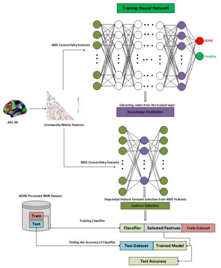 A Novel Knowledge Distillation-Based Feature Selection for the Classification of ADHD