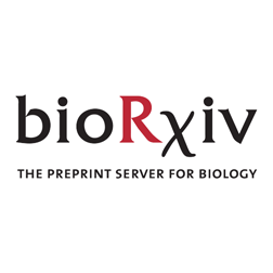CDK4/6 inhibitors induce replication stress to cause long-term cell cycle withdrawal